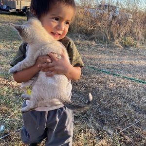 Meet your Posher, Dorian